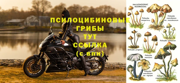 a pvp Медвежьегорск