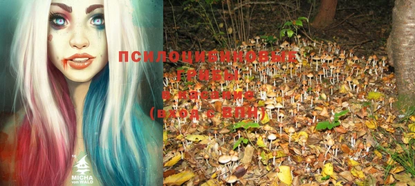 крисы Медногорск