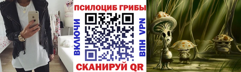 Купить  Западная Двина  Галлюциногенные грибы ЛСД 